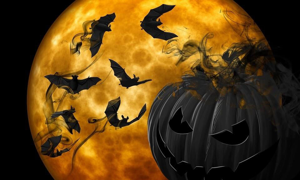 Photo of Let’s Halloween In Mumbai! by SONIA DAVID