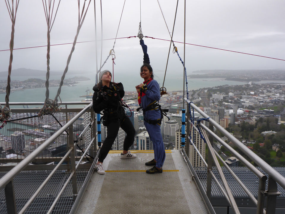 Photo of Auckland, New Zealand by SONIA DAVID