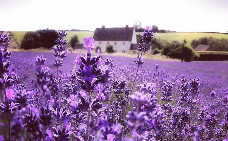 Photo of A Vintage Dream - Cotswolds! by SONIA DAVID