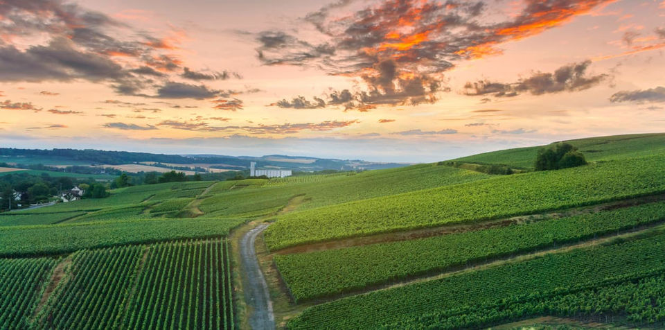 Photo of 5 Best Day Trips From Paris! by SONIA DAVID