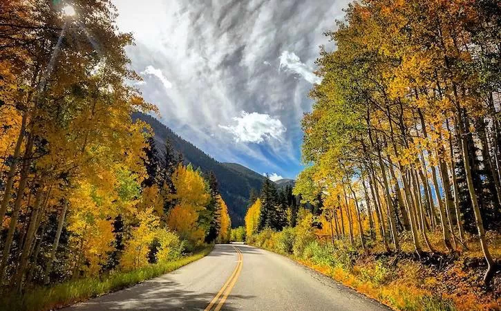Photo of Aspen, You Beauty! by SONIA DAVID