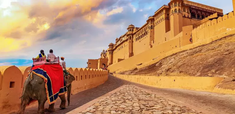 Photo of Feel The Pink - JAIPUR! by SONIA DAVID