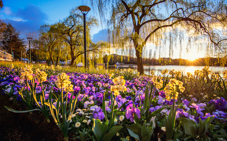 Photo of Unbelievable Canberra! by SONIA DAVID