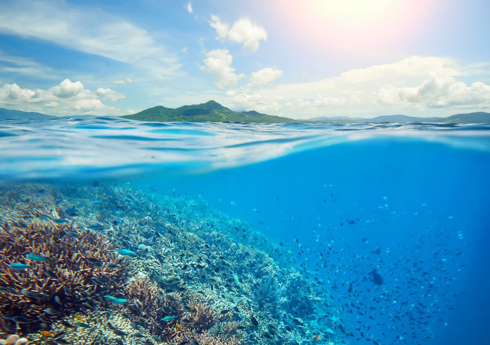Photo of Indonesian Islands - Which To Visit & Which To Skip! by SONIA DAVID