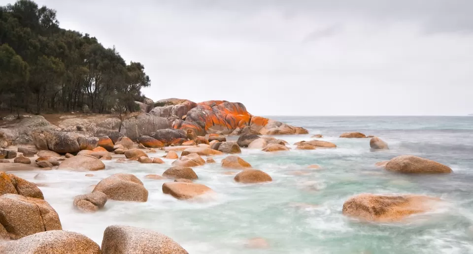 Photo of 3 Scenic Road Trips In Australia! by SONIA DAVID