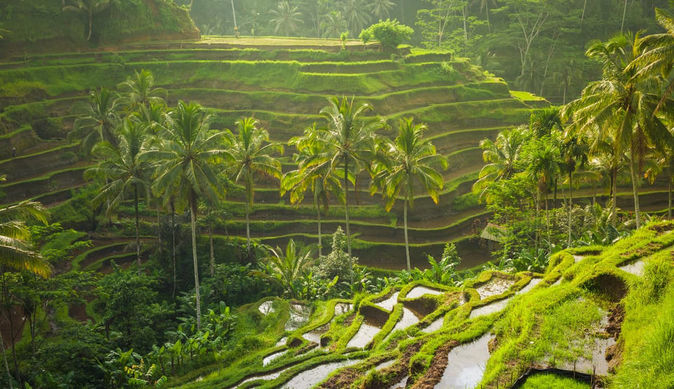 Photo of Asia by SONIA DAVID