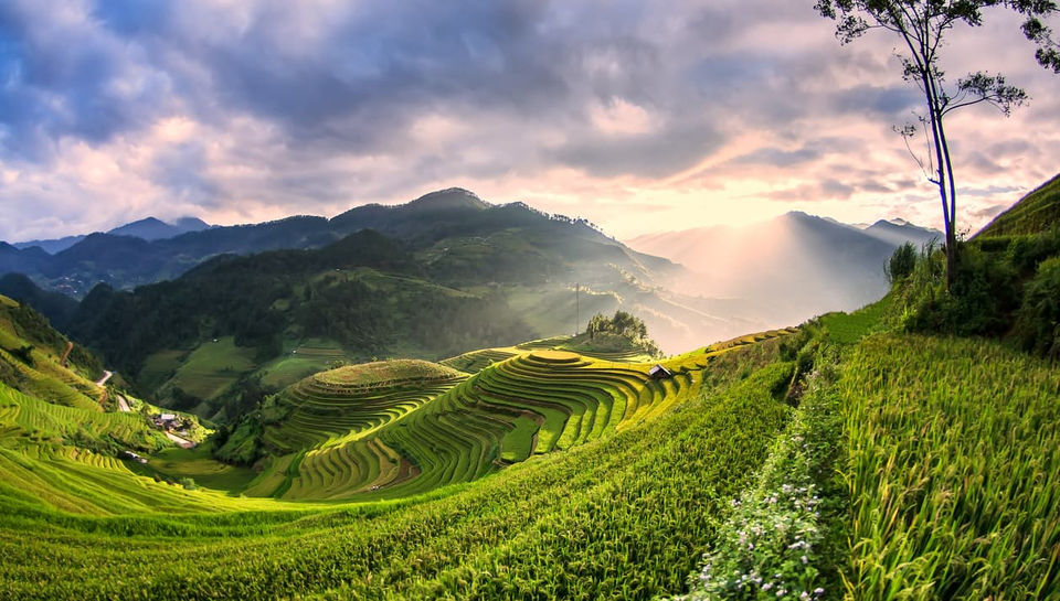 Photo of 5 Mesmerizing Rice Terraces In Asia! by SONIA DAVID