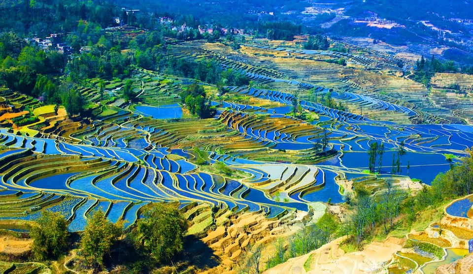 Photo of 5 Mesmerizing Rice Terraces In Asia! by SONIA DAVID