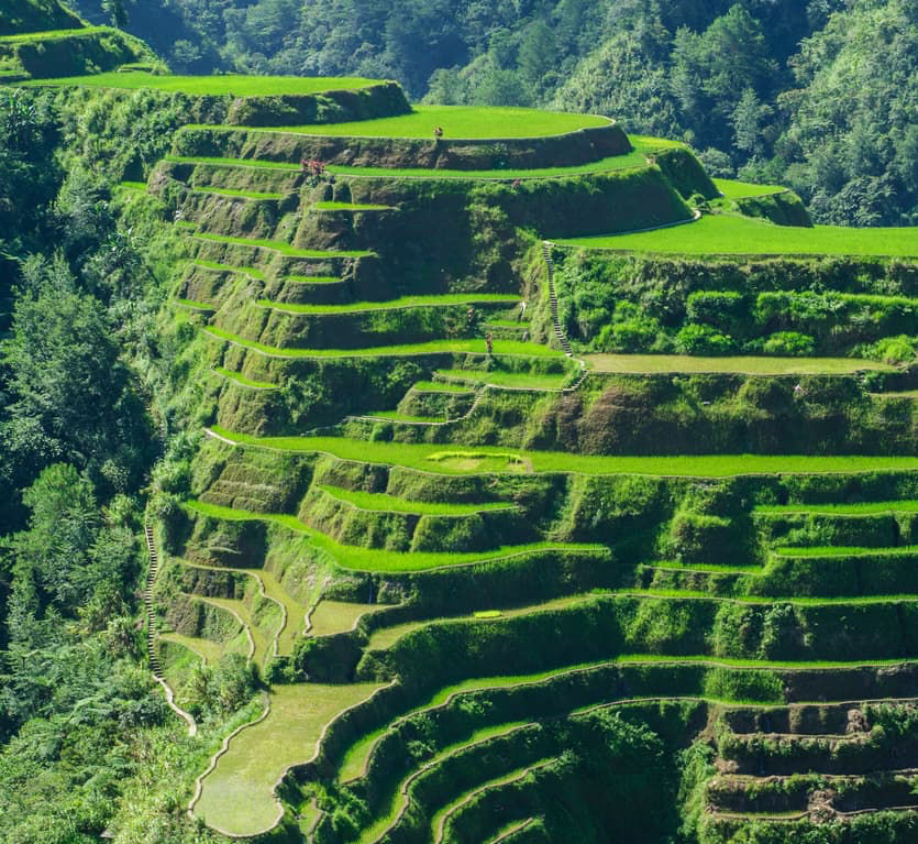 Photo of 5 Mesmerizing Rice Terraces In Asia! by SONIA DAVID