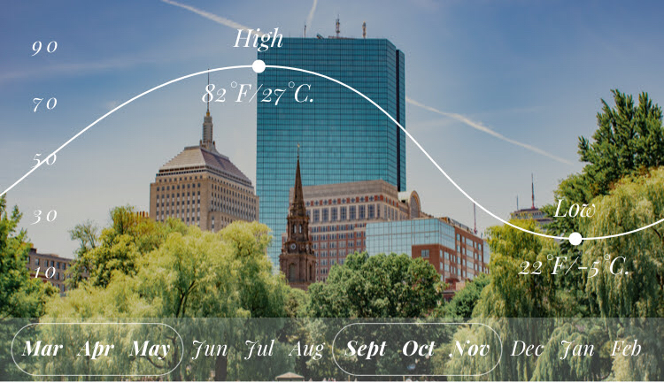 Photo of Boston It Is! by SONIA DAVID