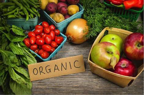 Photo of Top 3 ‘Organic’ Cafes in Mumbai! by SONIA DAVID