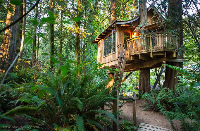 Photo of Live In A ‘Tree House’ Near Mumbai by SONIA DAVID