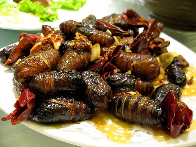 Photo of Top ‘Bizarre & Weird’ Food Of India - Would You Dare To Eat? by SONIA DAVID