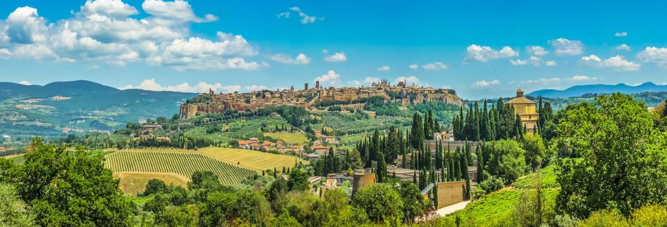 Photo of Rome, Italy by SONIA DAVID