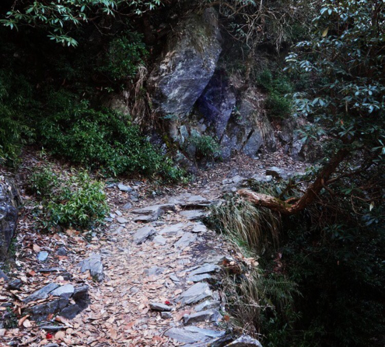 Photo of Majnu Ka Tilla, Delhi, India by Ankur Sharma