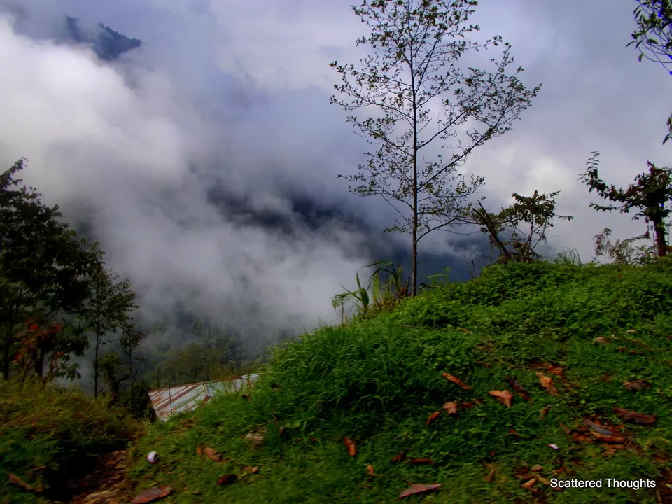 Photo of East Sikkim, East Sikkim, Sikkim, India by Maniparna Sengupta Majumder