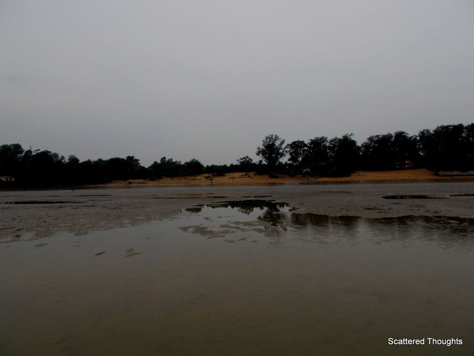 Photo of Chandipur, The Land of Vanishing Sea 4/11 by Maniparna Sengupta Majumder