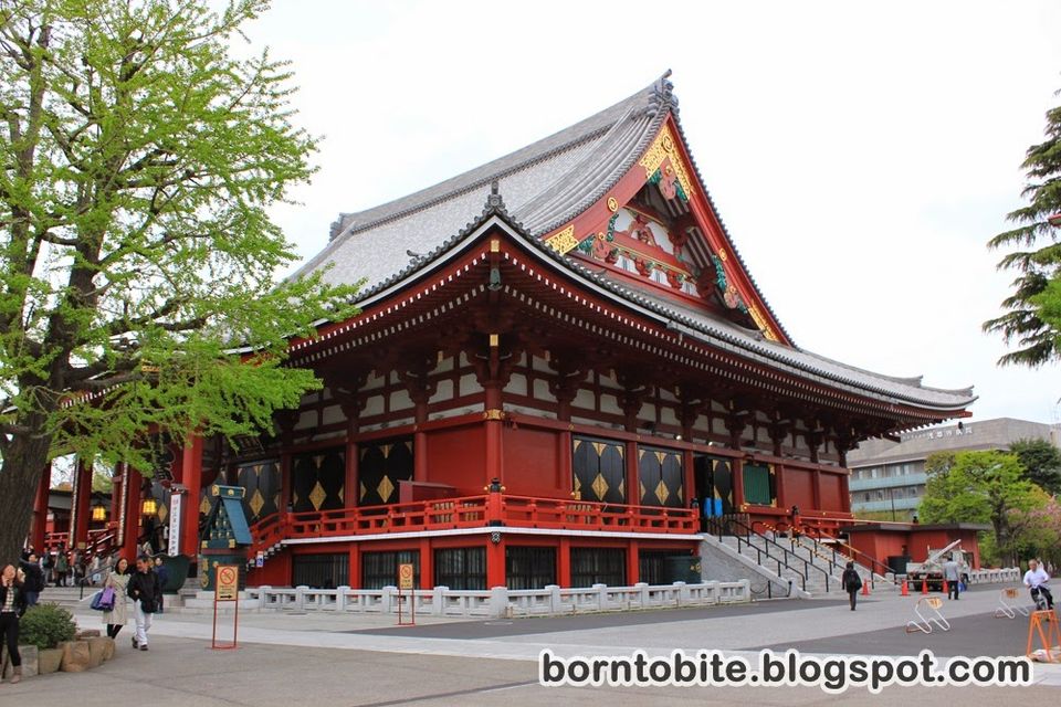 Photo of Fushimi Inari Taisha, Fushimi, Kyoto Prefecture, Japan by Megan Faustine