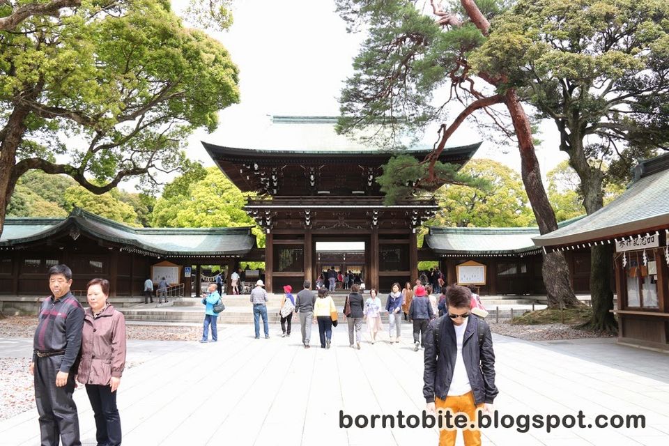 Photo of Meiji Jingu, Shibuya, Tokyo, Japan by Megan Faustine