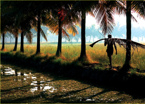 Photo of Kerala: Magic in the Monsoon 2/6 by The Blueberry Trails