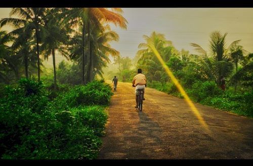 Photo of Kerala: Magic in the Monsoon 3/6 by The Blueberry Trails