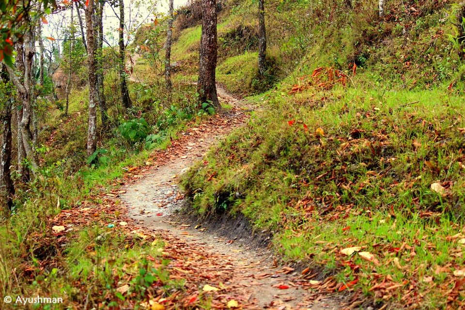 Photo of Of Mountains and Homestays: Sikkim 11/15 by The Blueberry Trails