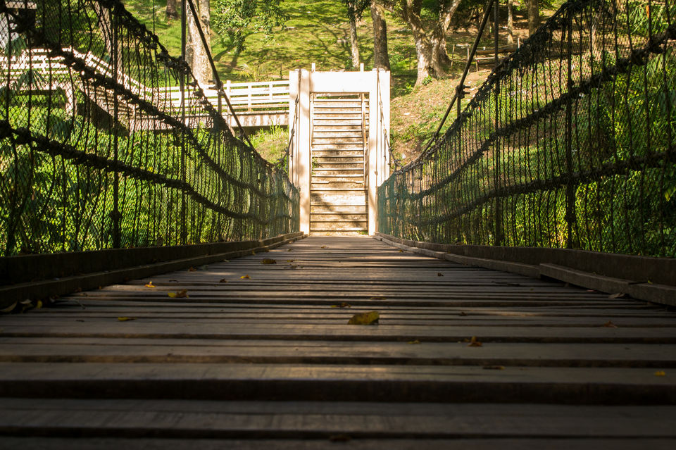 Photo of Trek To Taal Volcano : Exploring Tagaytay 1/7 by Avirup Chatterjee
