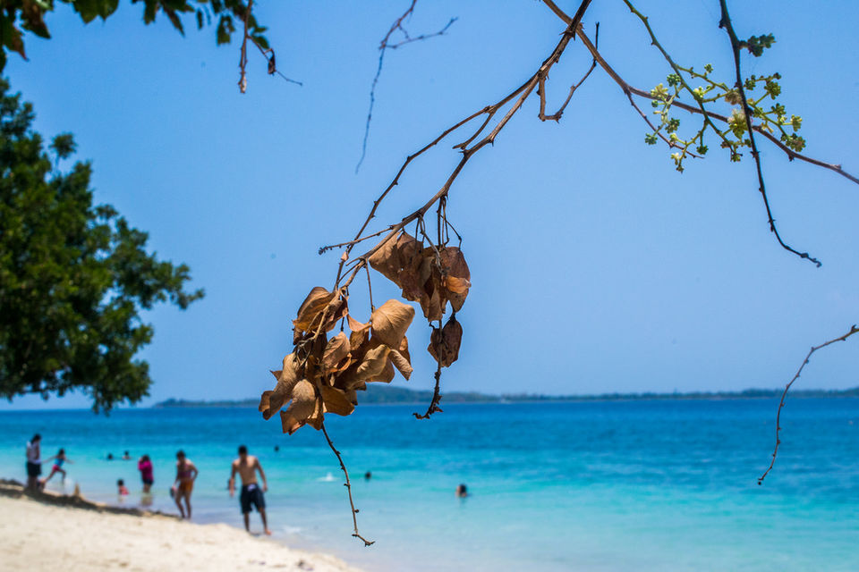 Photo of A few hours at Potipot Island, Zambales 1/5 by Avirup Chatterjee