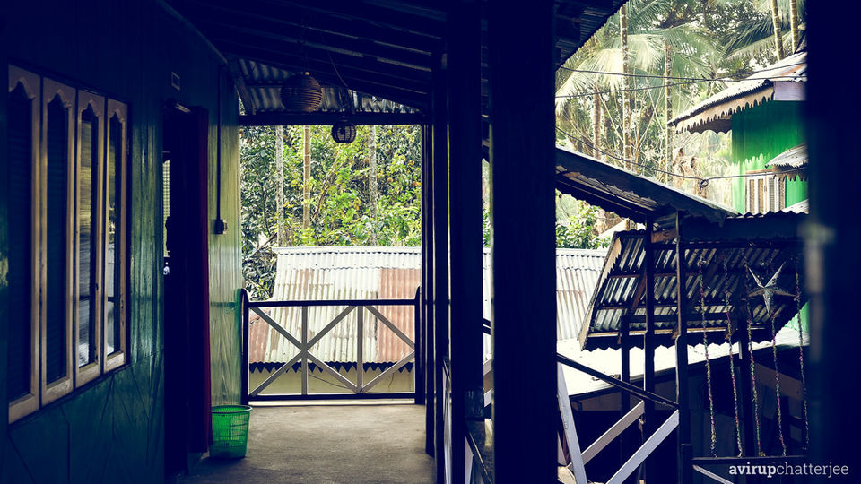 Photo of The Dooars Story 5/7 by Avirup Chatterjee