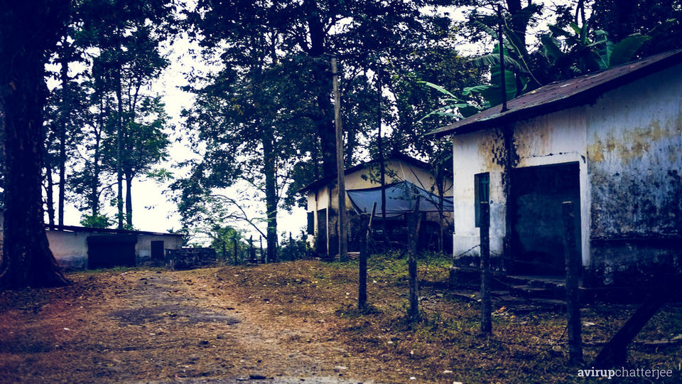 Photo of The Dooars Story 6/7 by Avirup Chatterjee