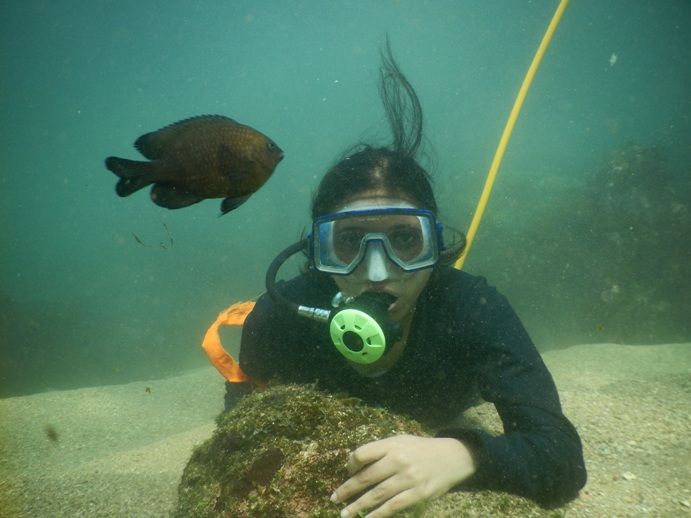 Photo of tarkarli scuba diving tour by sachin pawar