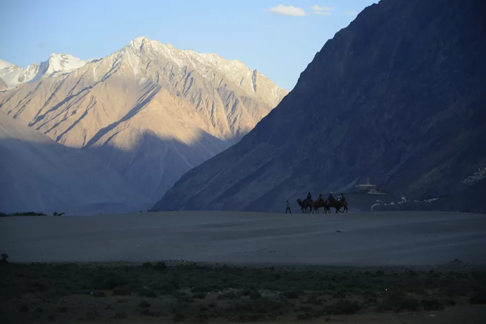 Photo of Sand Dune @ Nubra Valley by antara8080
