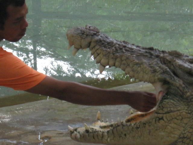 Photo of Of Myths, Legends and Fairies: Langkawi by Srishti Mehta