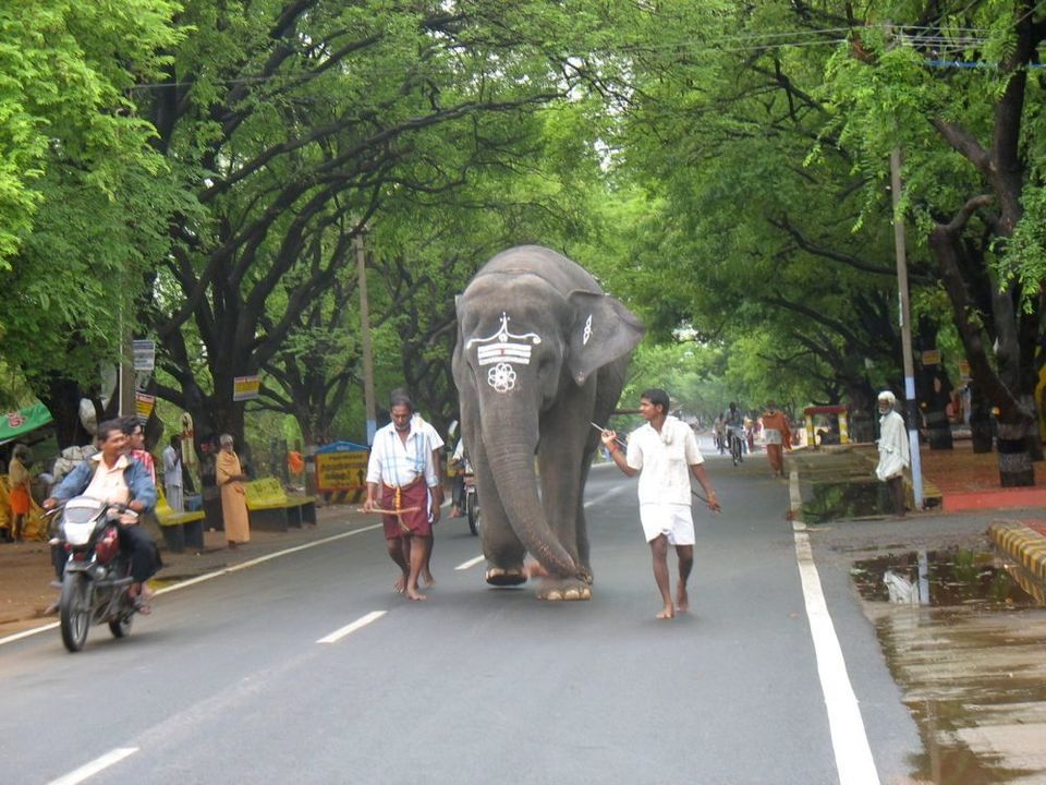 Photo of Tryst with Tiruvannamalai by Srishti Mehta