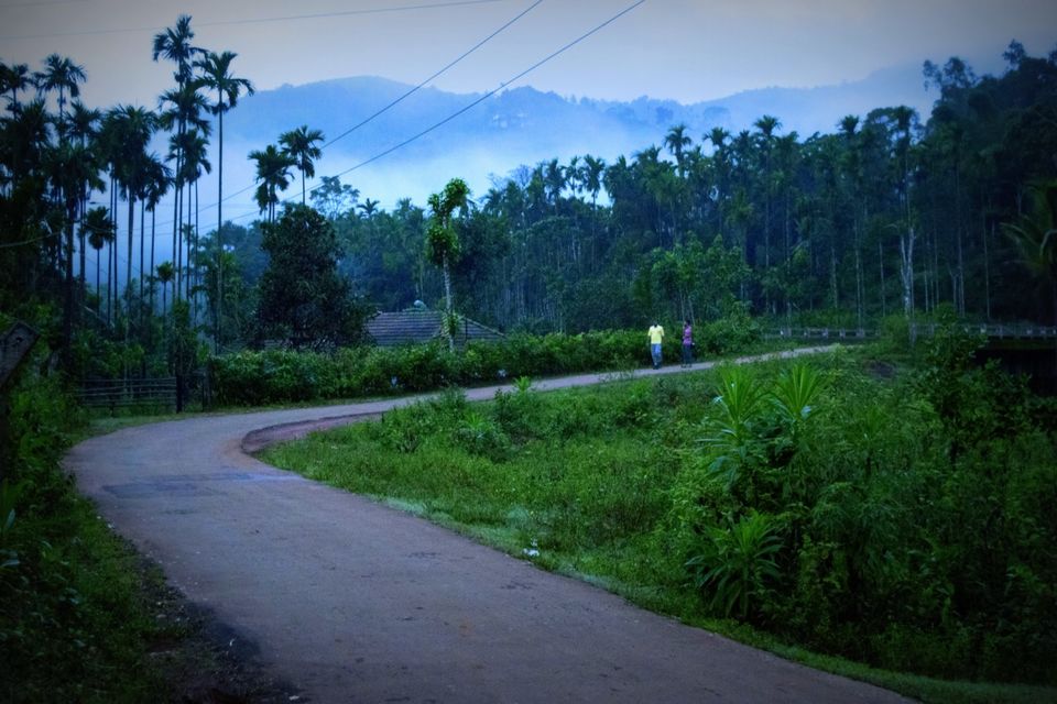 Photo of Kudremukh - The Green Paradise 5/9 by Bhavana Siddappa