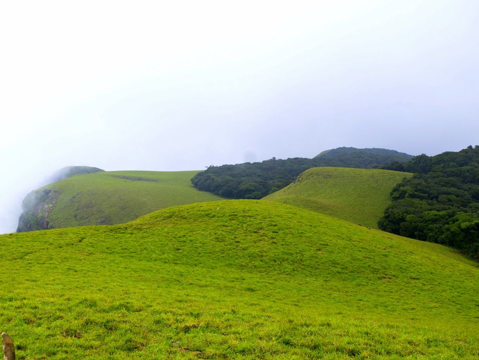 Photo of Kudremukh - The Green Paradise 6/9 by Bhavana Siddappa