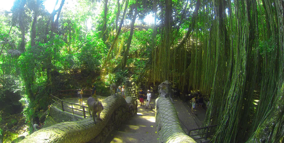 Photo of Sacred Monkey Forest Sanctuary, Jalan Wenara Wana, Ubud, Bali, Indonesia by Shilpa Balakrishnan