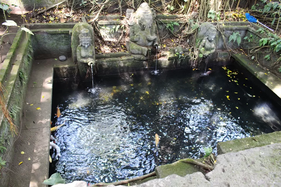 Photo of Sacred Monkey Forest Sanctuary, Jalan Wenara Wana, Ubud, Bali, Indonesia by Shilpa Balakrishnan