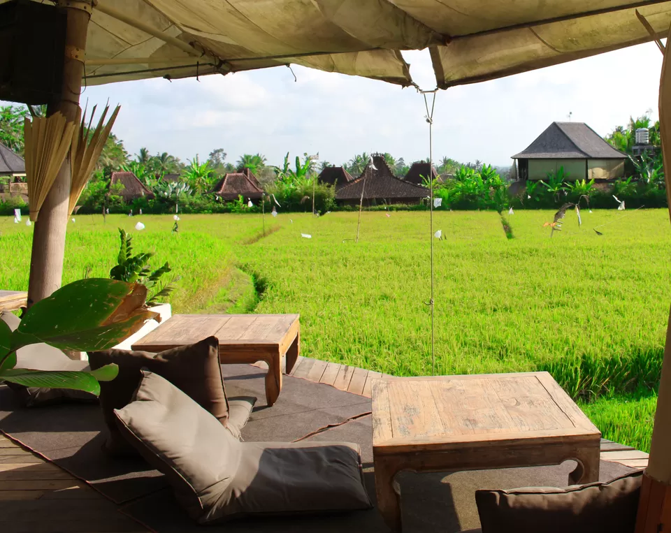 Photo of cafe pomegranate Ubud by Shilpa Balakrishnan