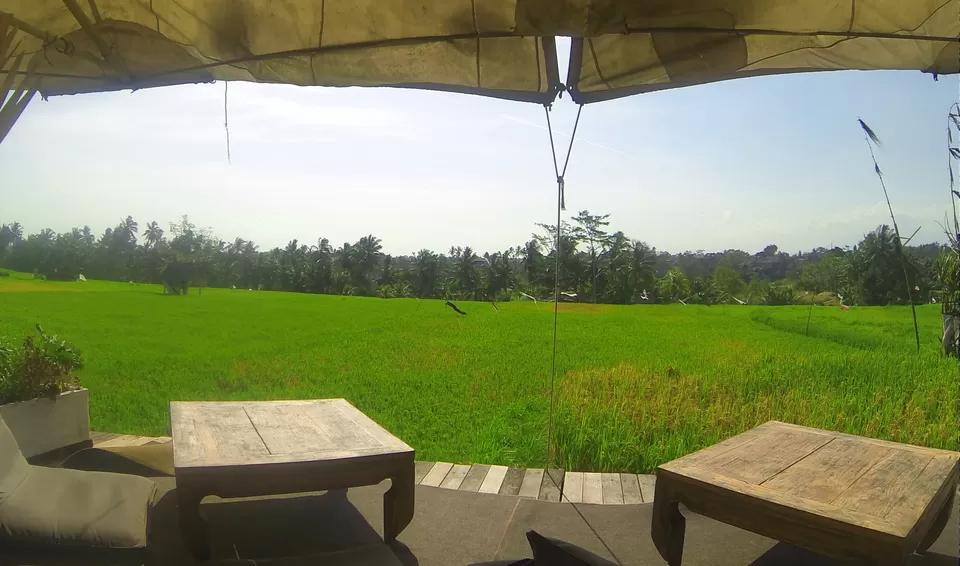 Photo of cafe pomegranate Ubud by Shilpa Balakrishnan