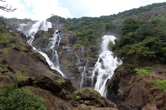 Photo of Dudhsagar, South Goa, Goa, India by Shilpa Balakrishnan