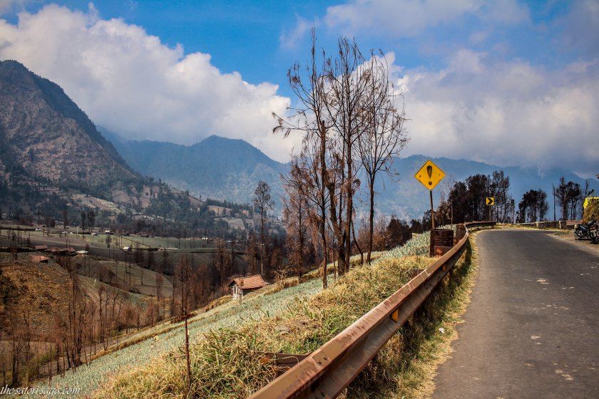 Revealing the Best of Cemoro Lawang  Indonesia Tripoto