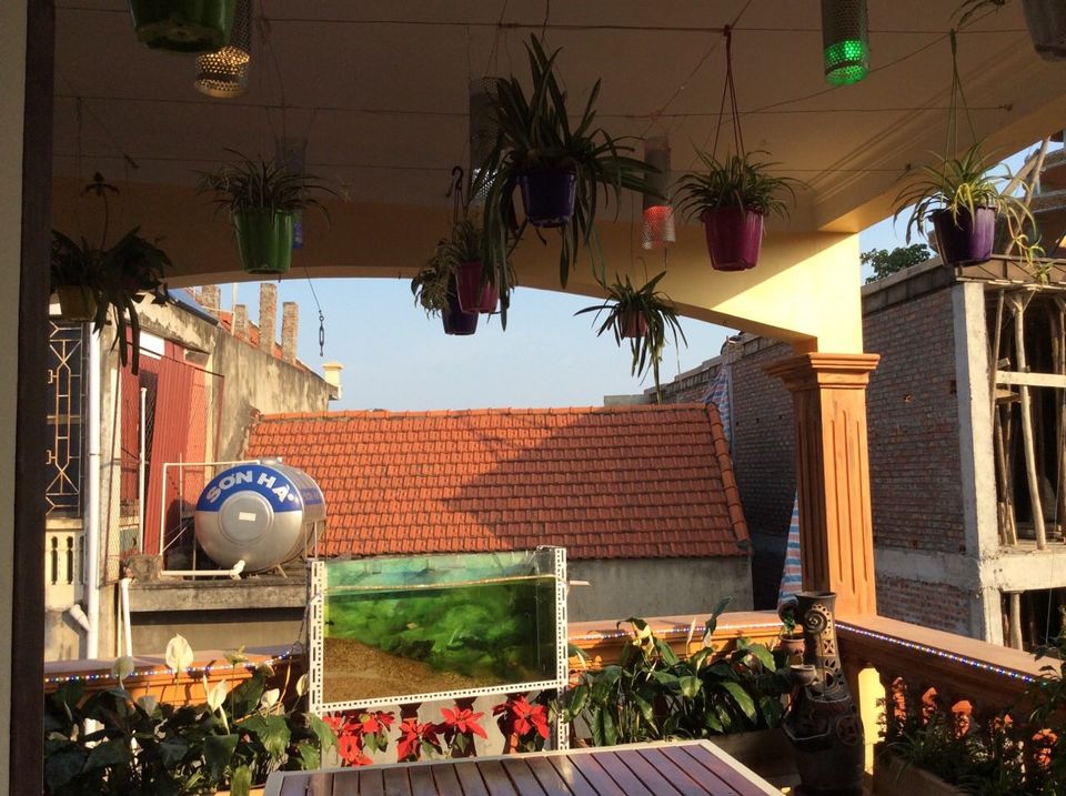 Photo of Journey to Vietnam 2/2 by Kim Phượng Đỗ