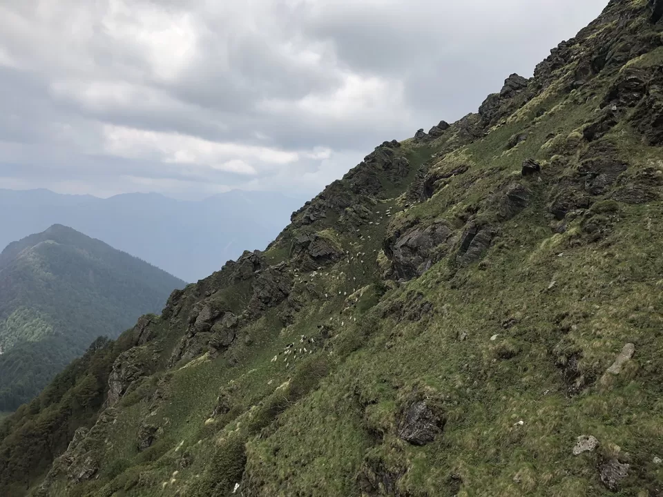 Photo of My SAR PASS Trek with YHAI by Radhika Sodhi