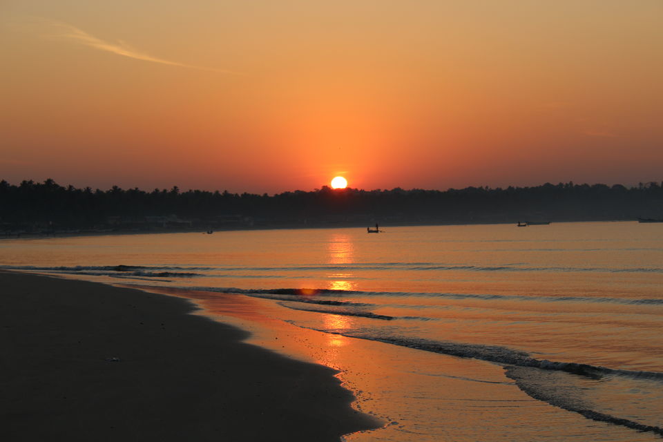 Photo of Suns of the beaches - Palolem 9/22 by Abhishek Gupta