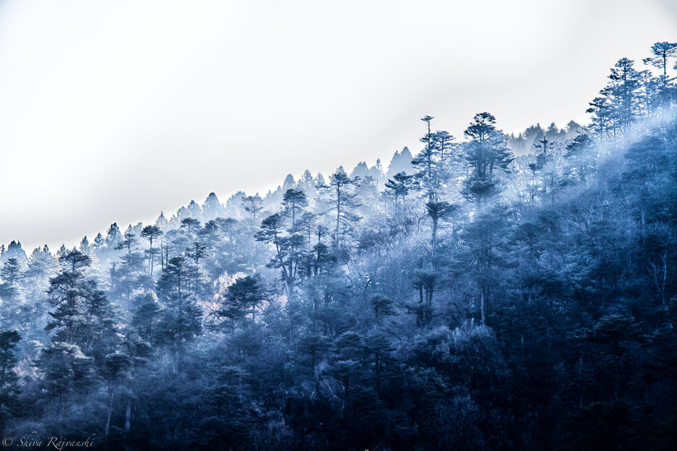 Photo of Road Trip to The Last Great Himalayan Kingdom - Bhutan 20/23 by Shiva Rajvanshi