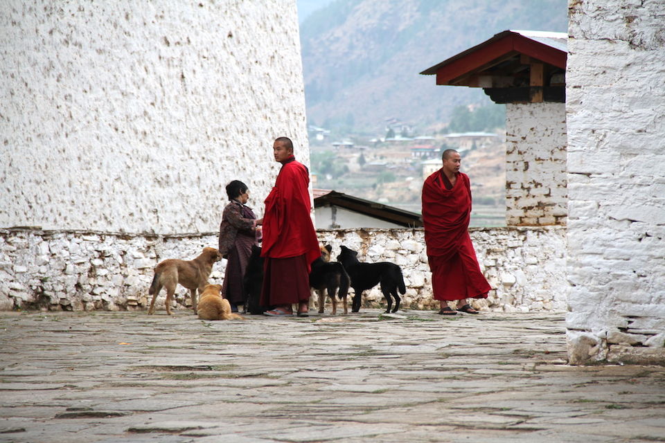 Photo of Road Trip to The Last Great Himalayan Kingdom - Bhutan 5/23 by Shiva Rajvanshi
