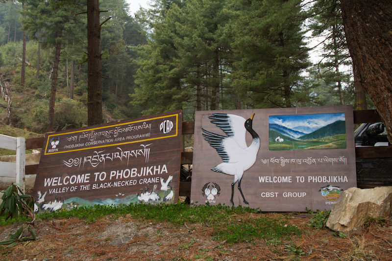 Photo of Road Trip to The Last Great Himalayan Kingdom - Bhutan 14/23 by Shiva Rajvanshi