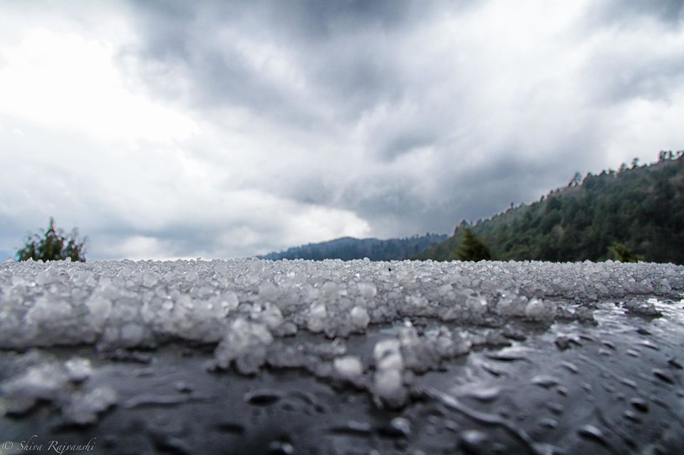 Photo of Road Trip to The Last Great Himalayan Kingdom - Bhutan 18/23 by Shiva Rajvanshi