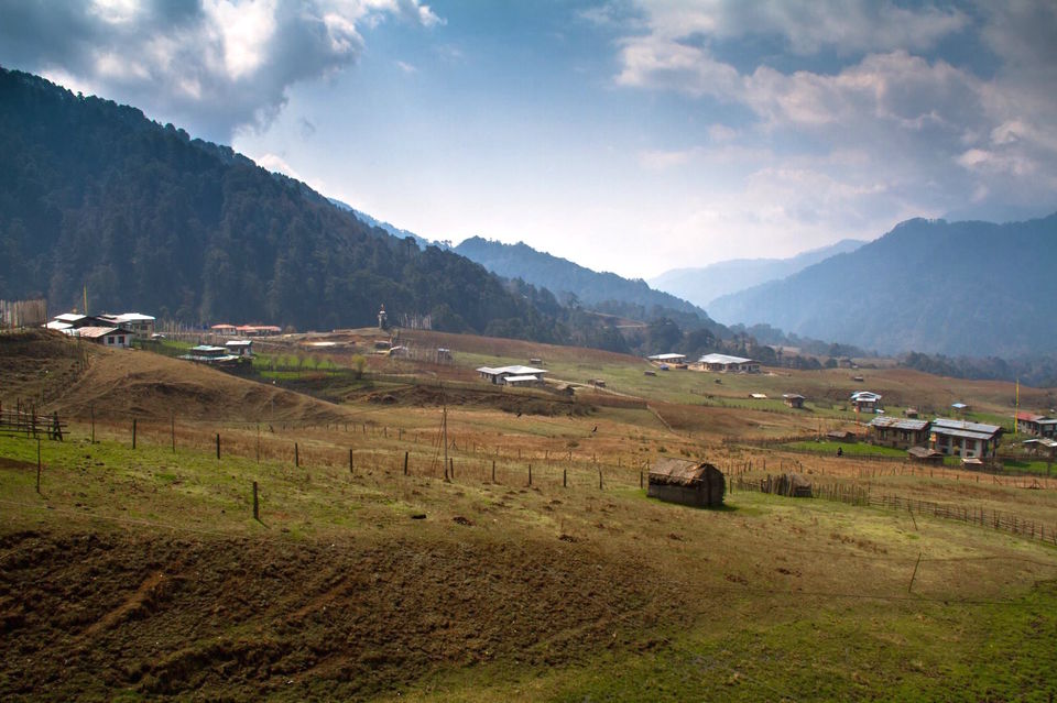 Photo of Road Trip to The Last Great Himalayan Kingdom - Bhutan 19/23 by Shiva Rajvanshi